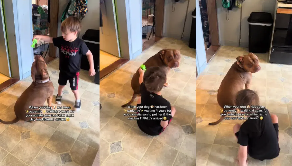 Boy with Autism Pets His Dog for the First Time in Heartwarming Moment 1 Boy with Autism Pets Dog for First Time in Sweet Moment